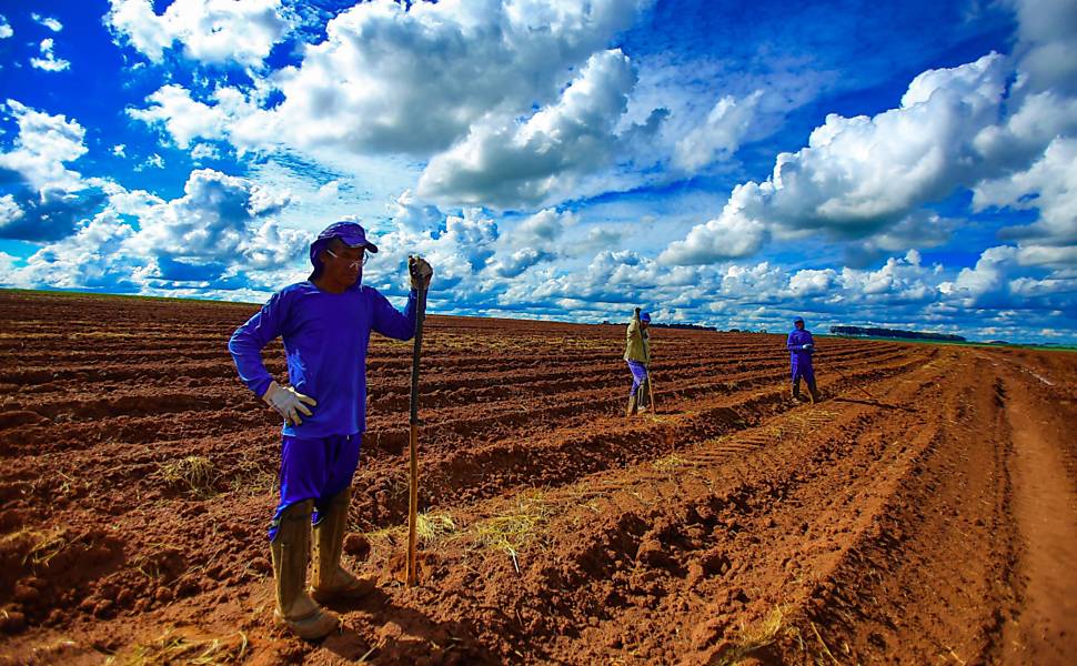Número de trabalhadores no setor sucroenergético cai, mas qualidade dos empregos cresce