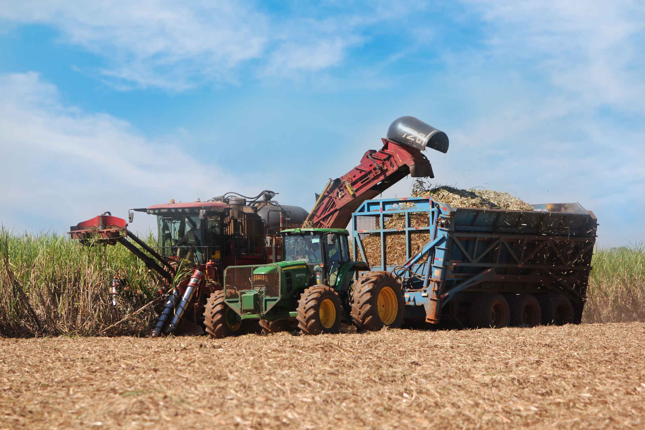 Cofco International projeta produção de 17,5 mi t de cana-de-açúcar na safra 2023/24