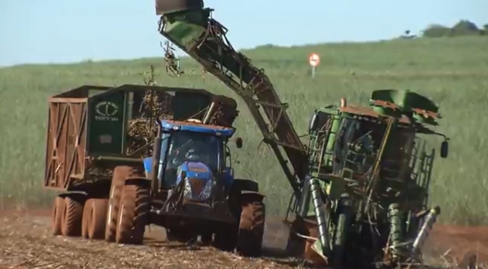 Paraná estima prejuízos na produção de cana por causa da estiagem, diz Alcopar