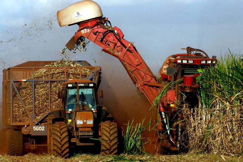 Custos de produção de cana-de-açúcar devem subir 9,5% em 2021/22, aponta Pecege