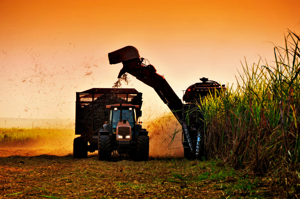 RenovaBio: Conhecimento sobre processo agrícola é determinante para ganho com CBios