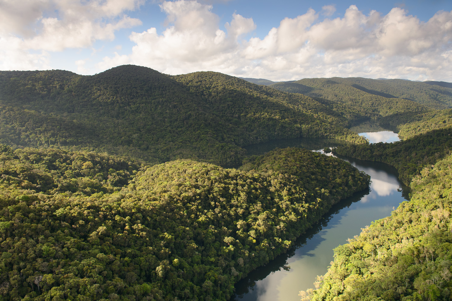 Falta de reserva legal nos canaviais pode ser compensada em  área de terceiros