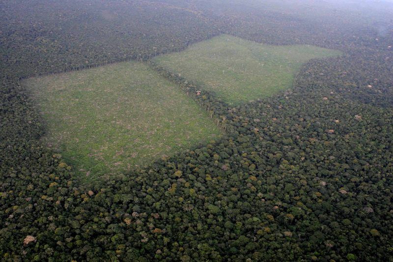 Com fim do zoneamento, cana-de-açúcar pode virar ameaça para Amazônia e Pantanal 