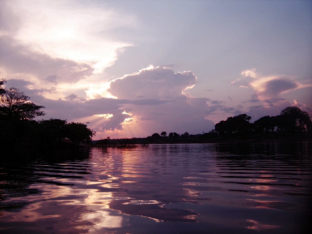 Para a Cosan, preservar Amazônia traz vantagem competitiva ao Brasil