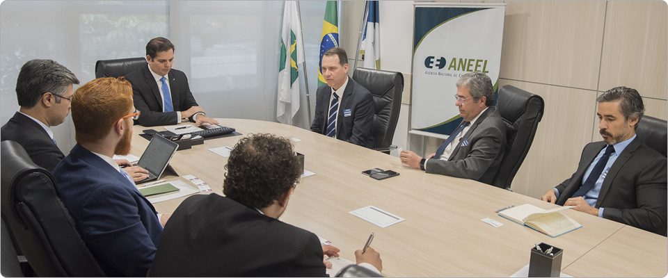 Raízen participa de reunião na Aneel sobre papel da biomassa no setor elétrico