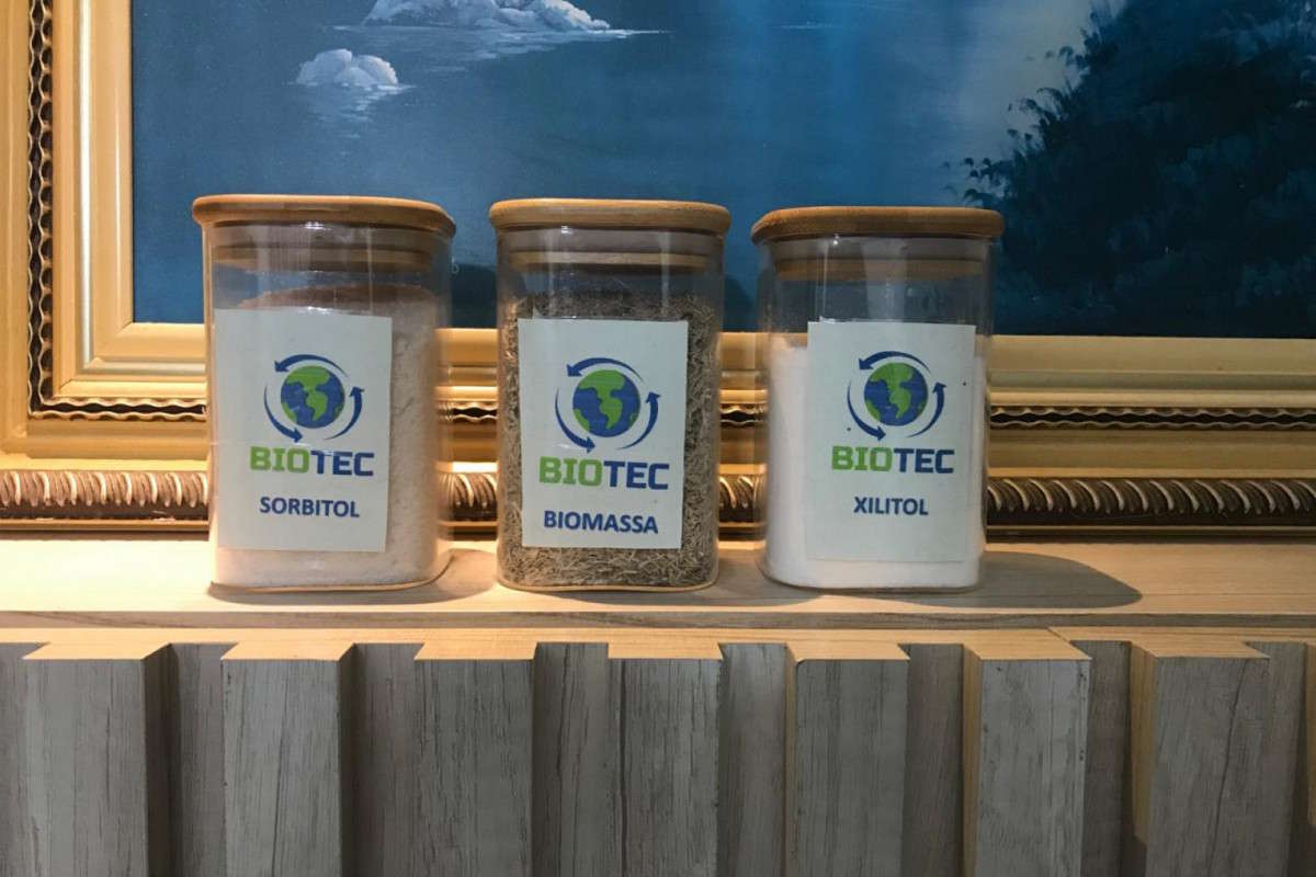 Pesquisadora da UFPE transforma bagaço da cana em produtos de alto valor agregado