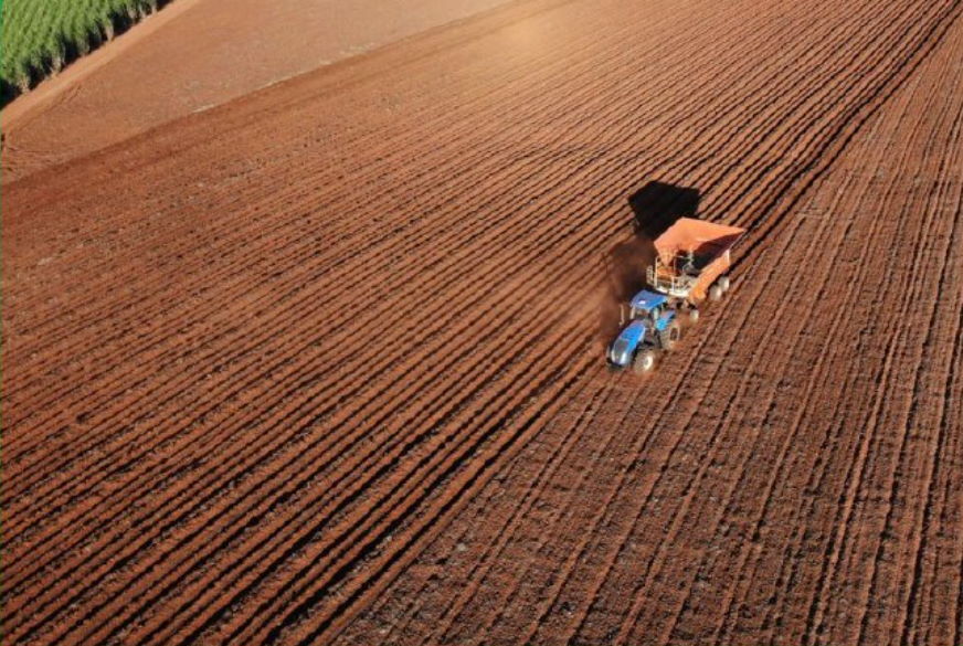 BrasilAgro vende fazenda em Alto Taquari (MT) por R$ 589 milhões