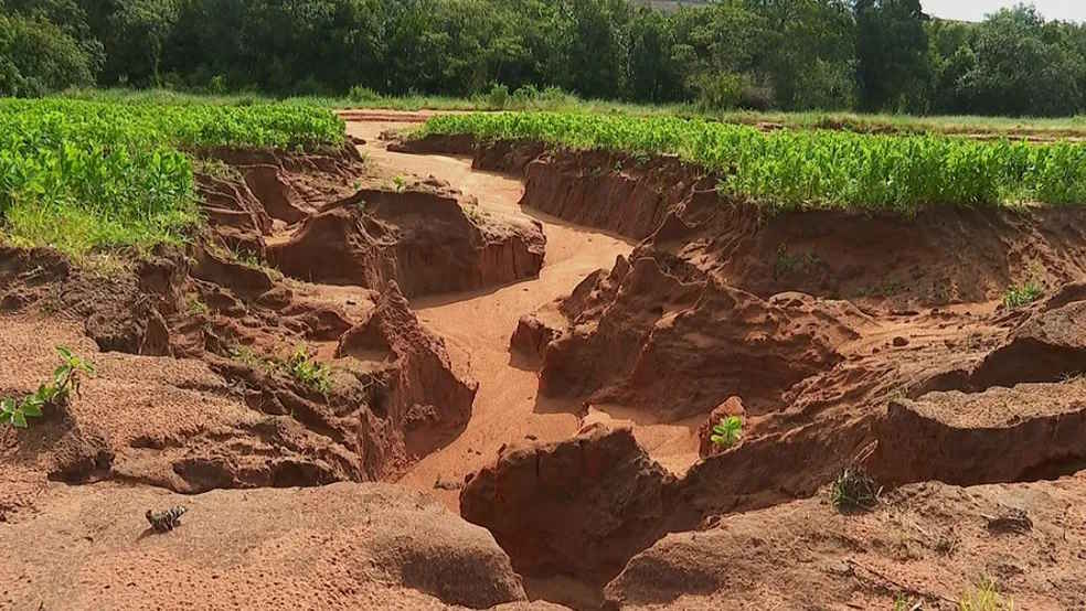 Assoreamento provocado pelo plantio de cana ameaça rio em Brotas (SP), diz prefeitura
