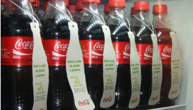 Cana-de-açúcar mantêm protagonismo do Brasil no mercado mundial de bioplásticos
