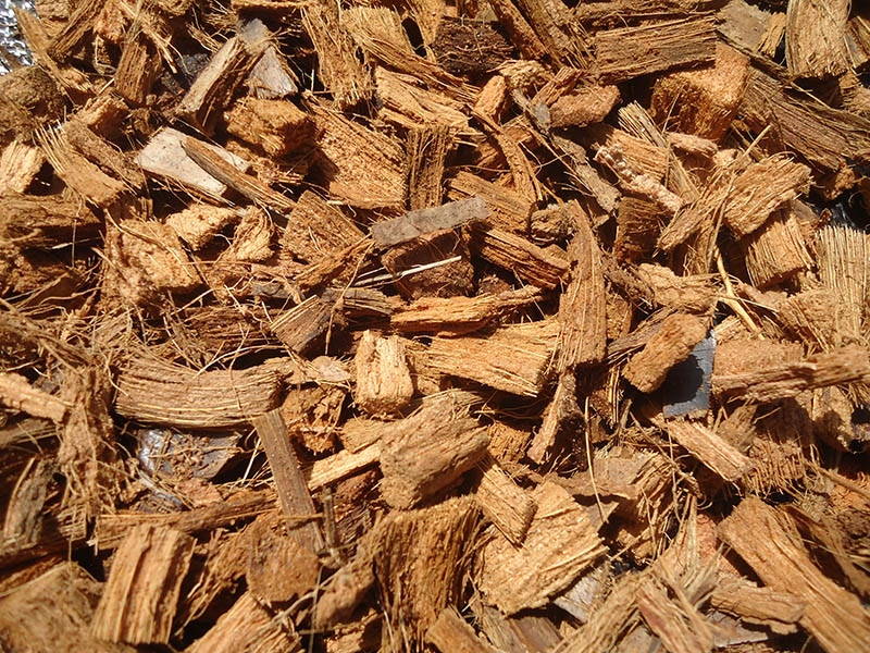 Ufes obtém patente de processo que transforma casca de coco em etanol