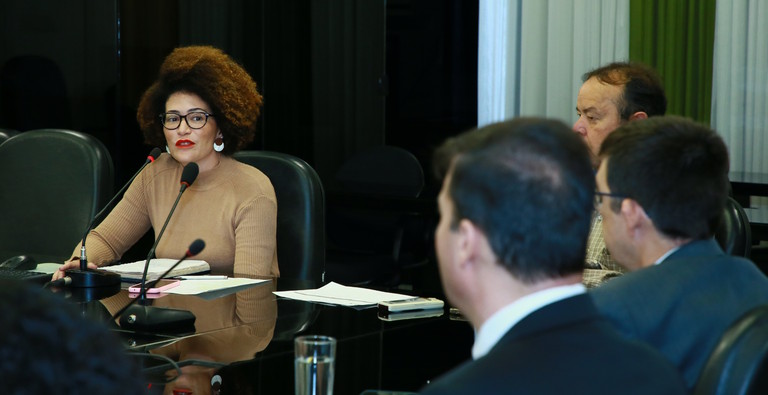 Comitê RenovaBio realiza primeira reunião de 2025 e aborda metas para a próxima década