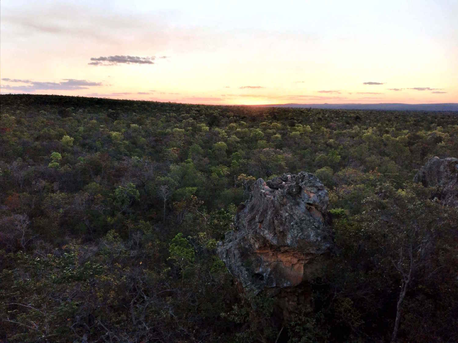 Reserva ambiental da usina Coruripe em Minas Gerais ganha projeto de créditos de carbono
