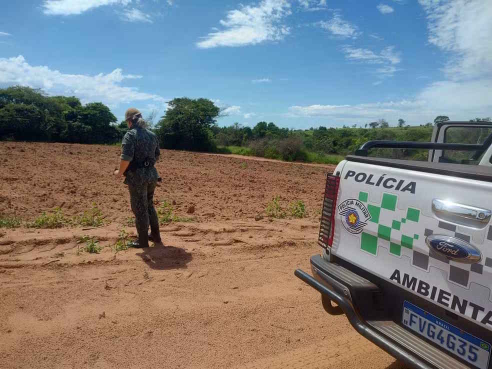 Usina é multada em quase R$ 3 mil por destruir vegetação nativa em Tupi Paulista