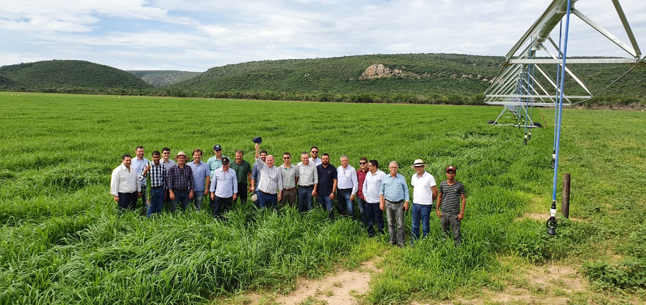 Empresários mineiros avaliam investir no setor sucroenergético da Bahia
