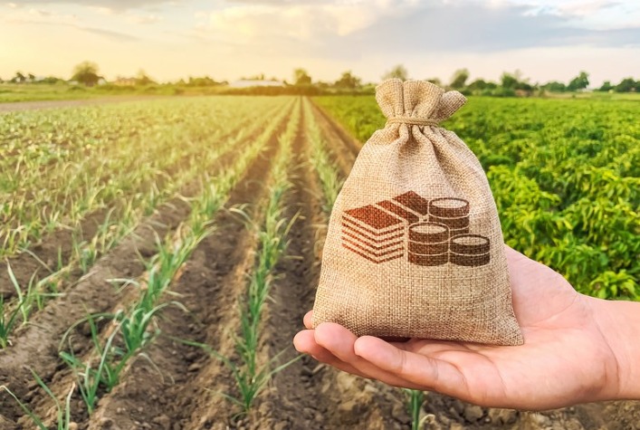Fiagro tem potencial para sucroenergéticas, mas ainda depende de “maior robustez”