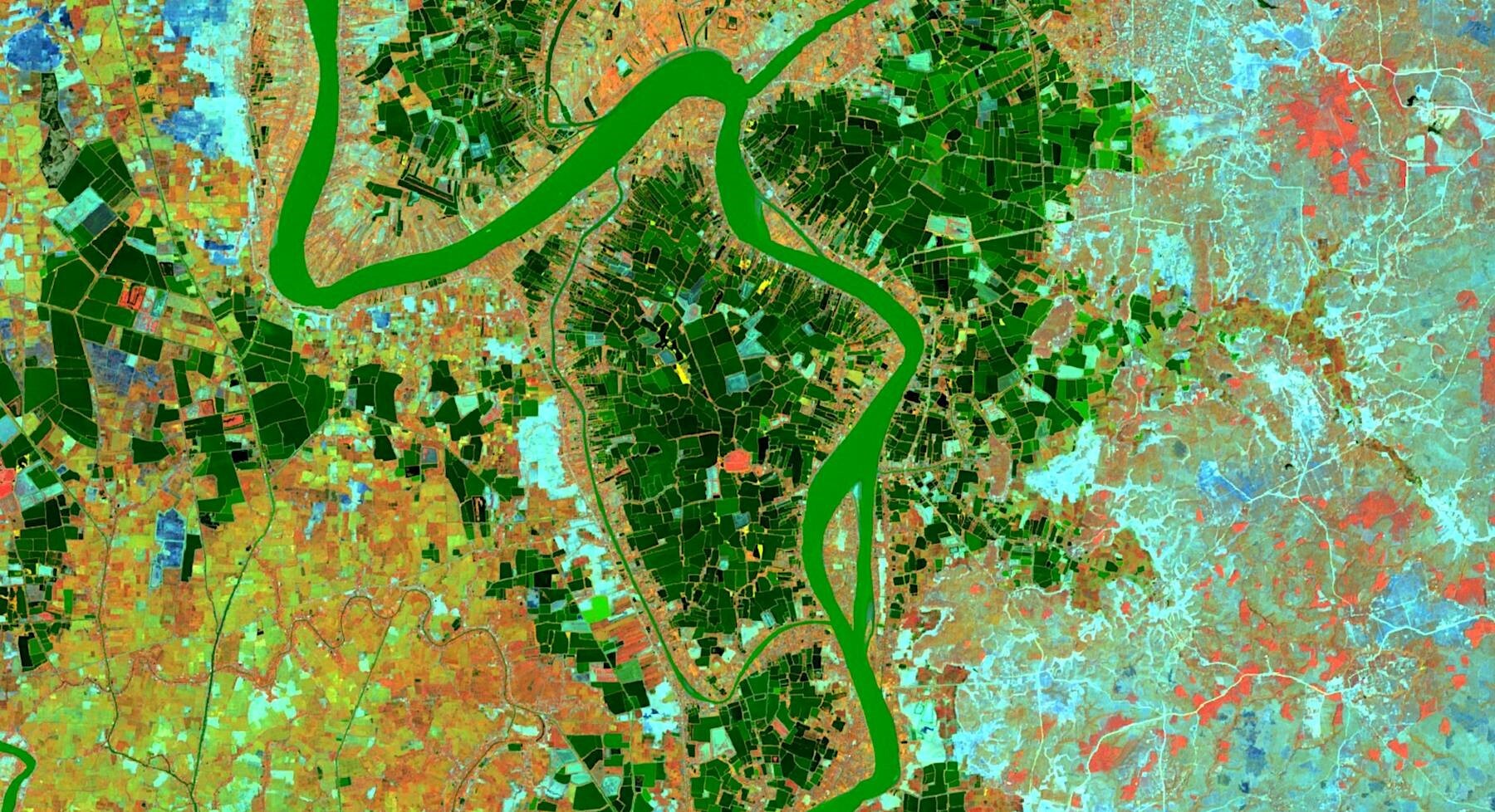 Com auxílio de tecnologias, manejo eficiente do canavial melhora produtividade