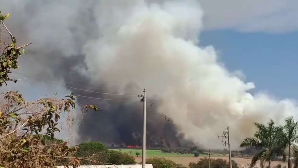 Incêndio atinge canavial e mobiliza bombeiros e Defesa Civil em Artur Nogueira (SP)