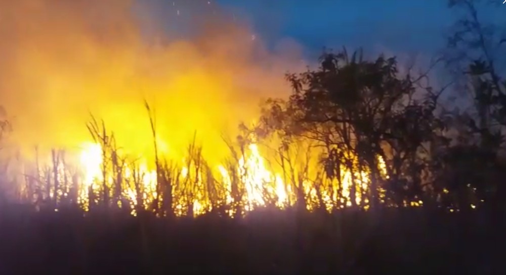 Incêndios queimam produtividade dos canaviais e recursos do produtor, diz IAC
