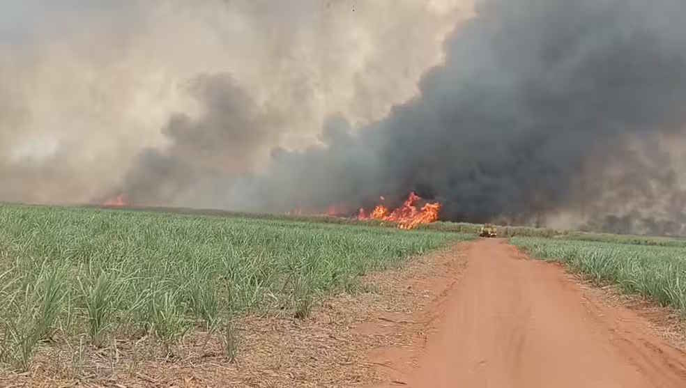 Municípios canavieiros paulistas registram incêndios nesta terça-feira, 9
