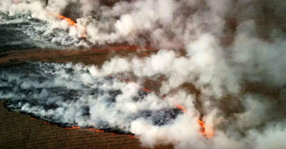 Incêndio se alastra por canavial e mobiliza bombeiros e brigadistas entre Ibaté e São Carlos