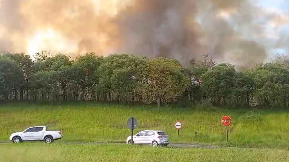 Incêndio atinge canavial ao lado de rodovia de Iracemápolis (SP)