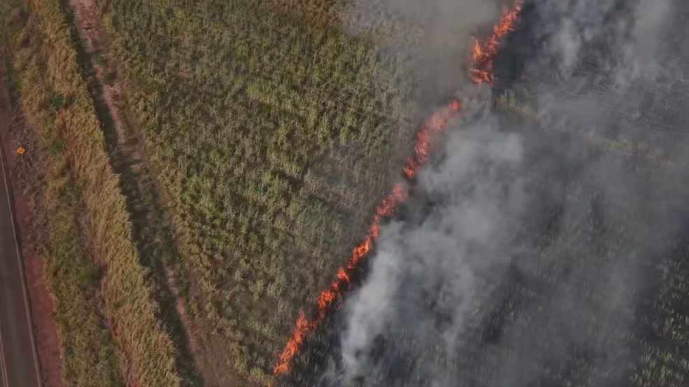 Incêndio destrói mais de 90 ha de canavial e fumaça atinge área urbana de Lins (SP)
