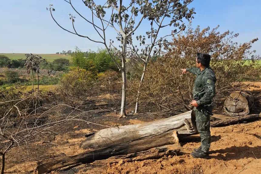 Usina é multada em mais de R$ 180 mil por incêndio em área de canavial no interior de SP