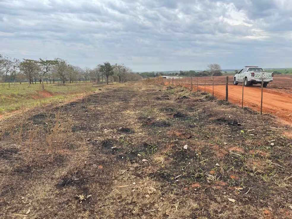 Usina é multada em R$ 223 mil por incêndio em vegetação nativa em Martinópolis (SP)