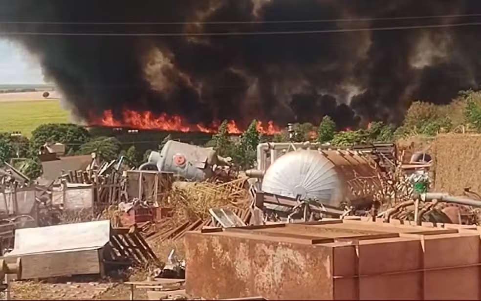 Incêndio de grandes proporções atinge canavial em Orlândia (SP)