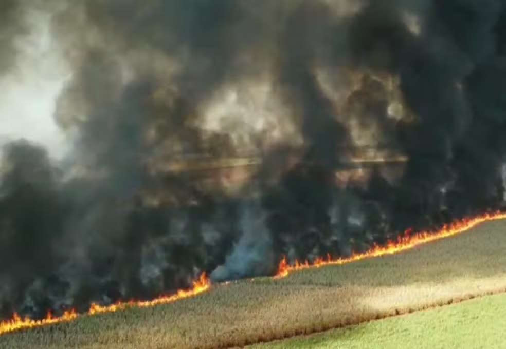 Incêndio de grandes proporções atinge canavial em Pederneiras (SP)