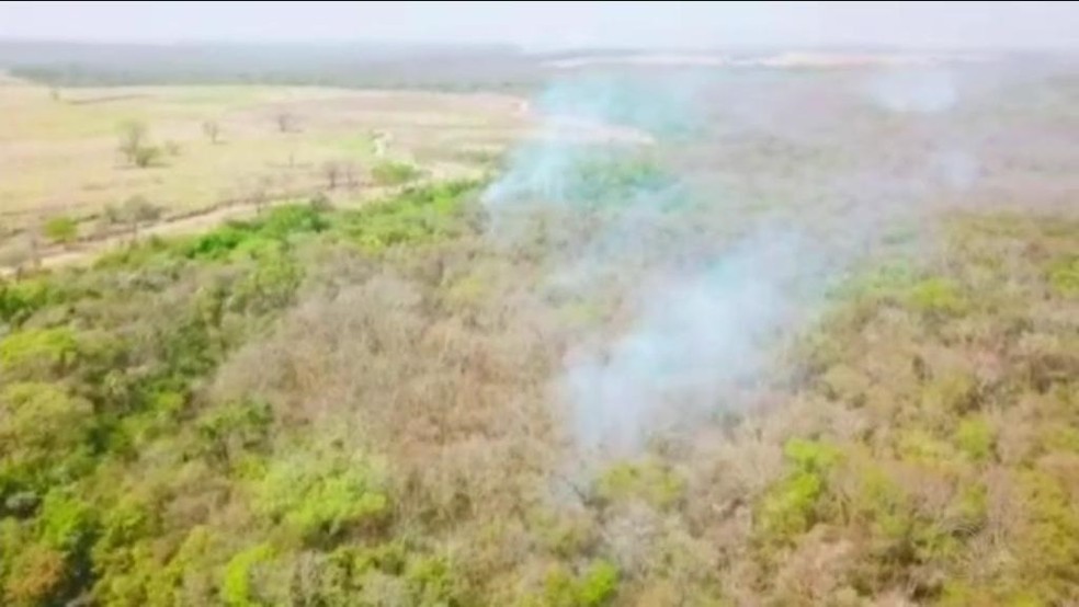 Fogo em área de vegetação na região de Votuporanga (SP) teve início em canavial