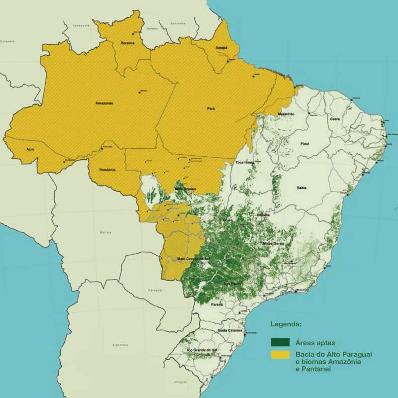 O risco de plantar cana no Brasil: mapeamento da produção em 4,2 milhões de hectares