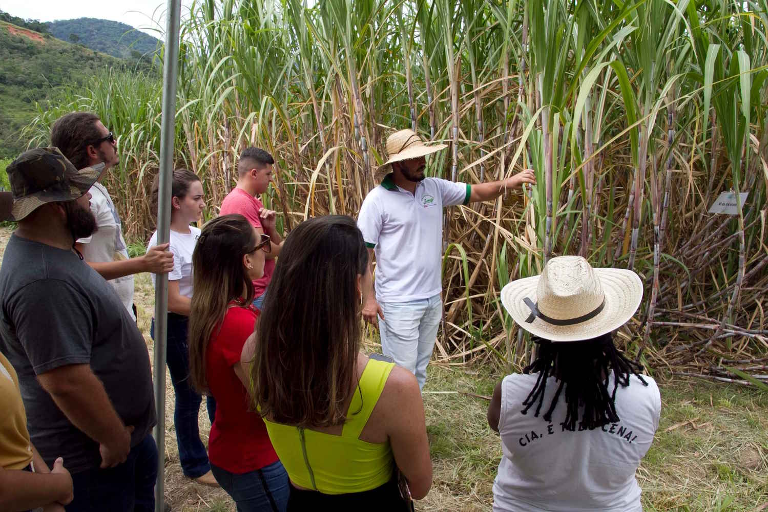 Agricultores de Maricá (RJ) recebem orientações para o cultivo de cana-de-açúcar