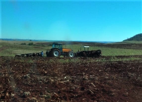 Sucroenergética do Paraná destrói lavoura do MST destinada a doação de alimentos