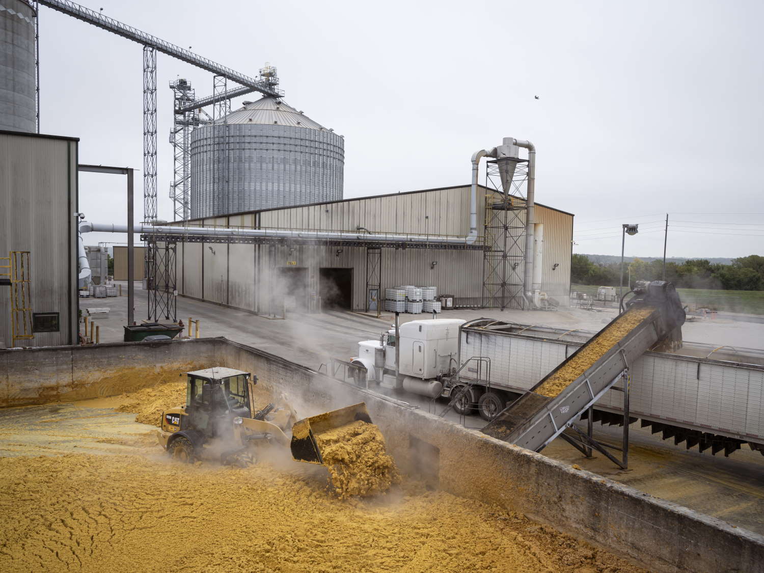 Tecnologia aproveita o potencial inexplorado do milho para indústria de bioenergia