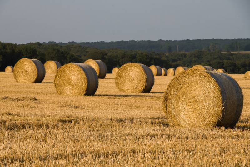 Produzir combustível com palha está prestes a se tornar tendência na Europa