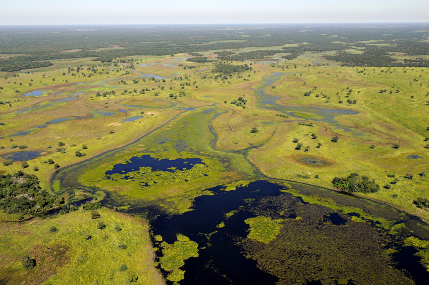 Usineiros descartam cana no Pantanal, mas admitem plantar no Alto Paraguai