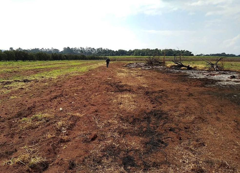 Operação da Polícia Ambiental é encerrada com balanço de redução em queimadas ilegais