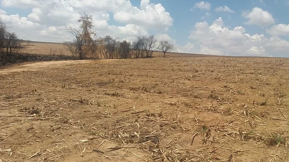 Usina é multada em R$ 715,5 mil por queimada em área de cana em Rafard (SP)