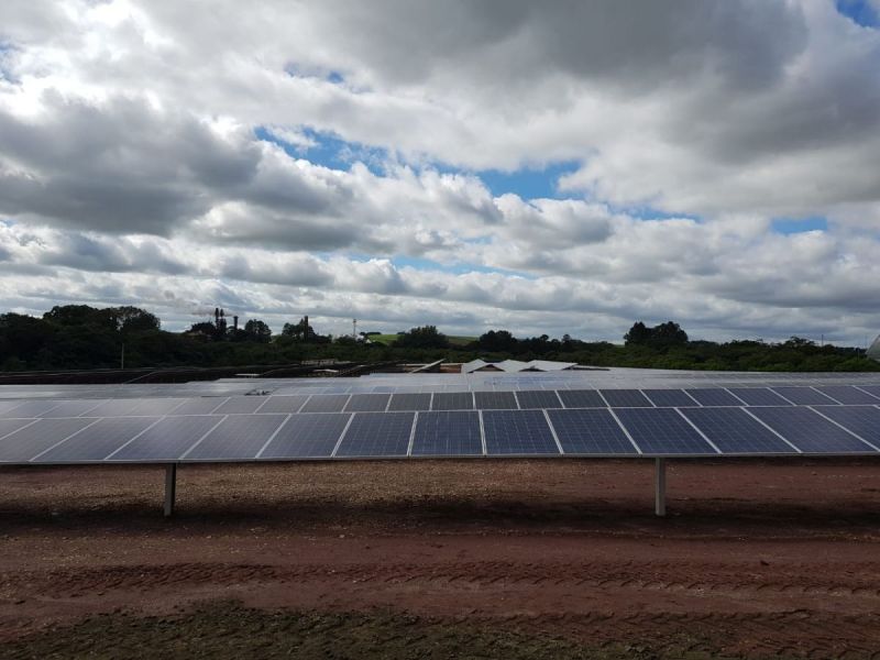 GDSun amplia parceria com Raízen; vê mais R$ 1 bilhão em novo ciclo de expansão