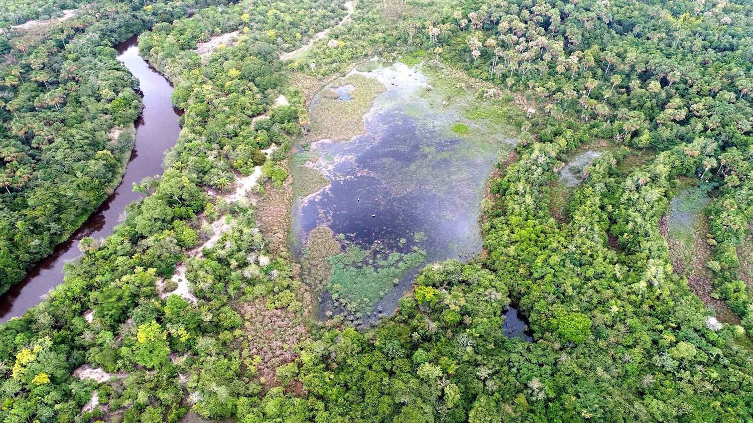 Usina Coruripe apresenta projeto de geração de créditos de carbono na COP30
