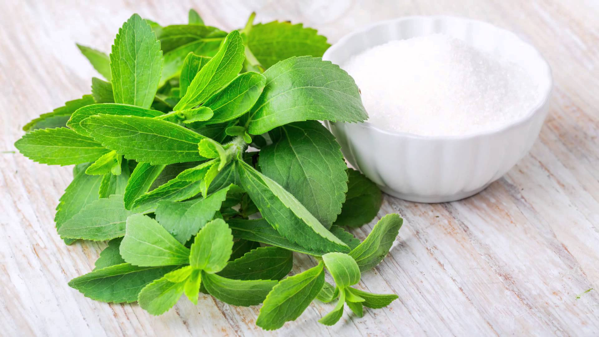 Cargill e Royal DSM estabelecem joint venture para levar ao mercado adoçantes com valor calórico reduzido