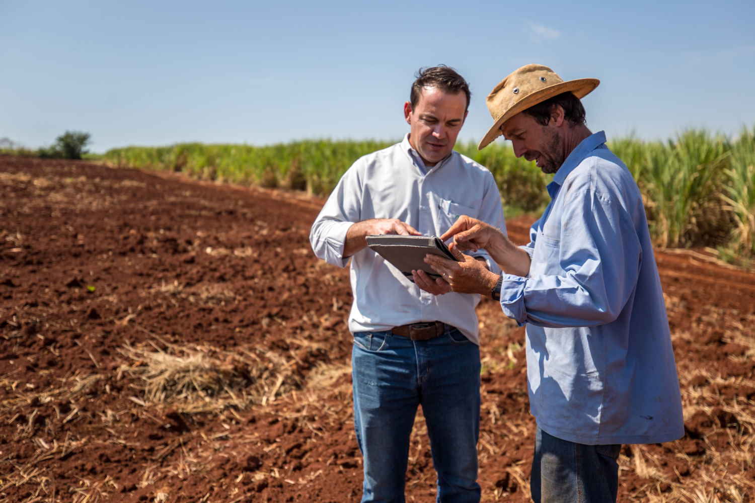 Projeto para pequenos produtores de cana é selecionado pelo Fundo Impacto Bonsucro