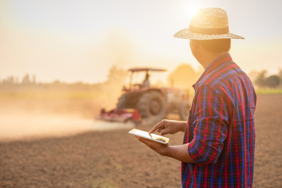 Do campo para a usina: O uso de blockchain para certificar a produção de biocombustíveis