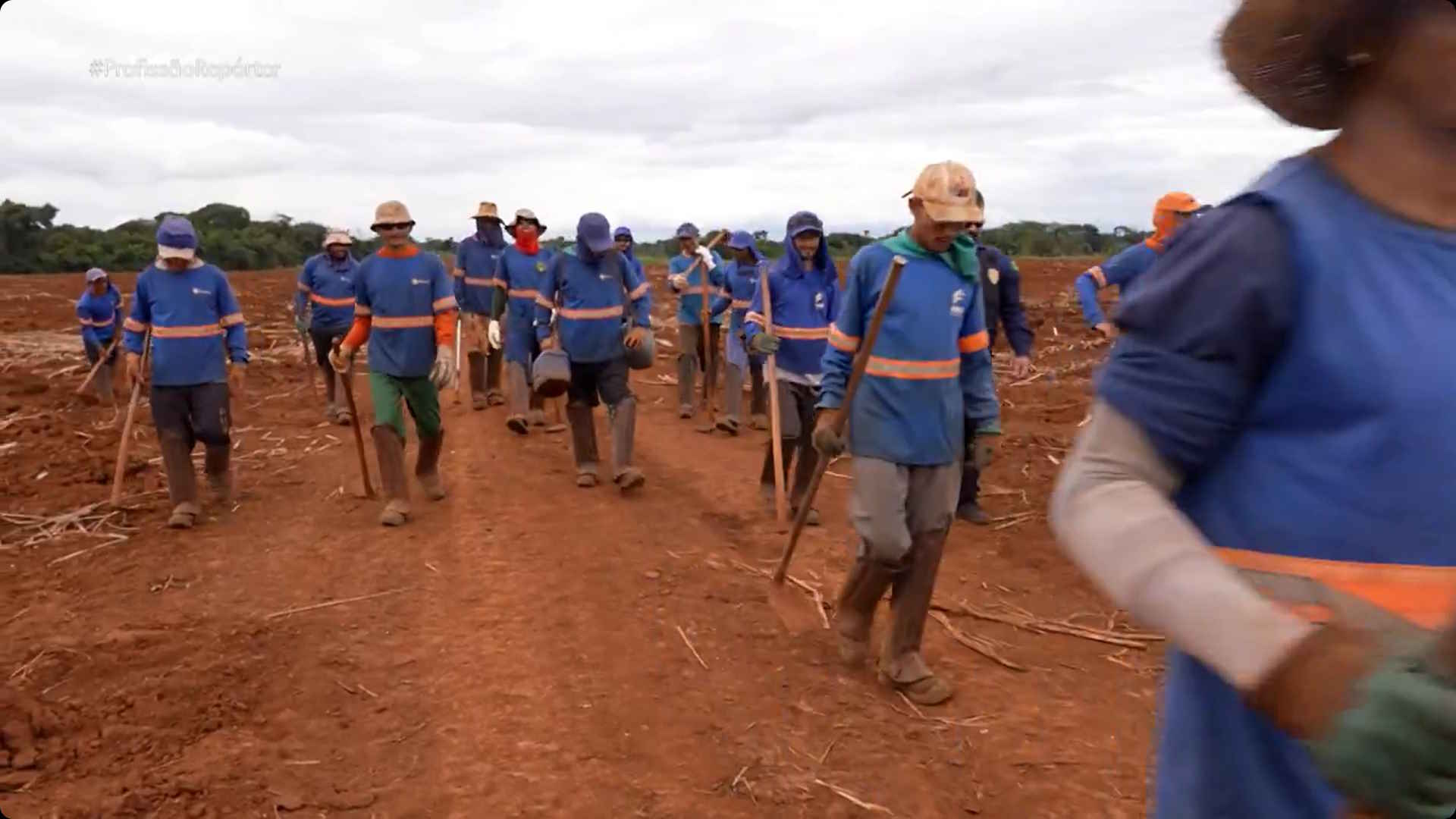 Trabalhadores rurais resgatados em canavial revelam coação de empregador