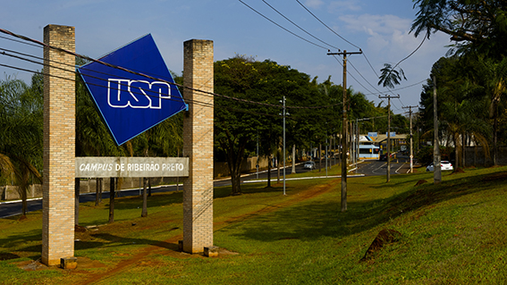 Bagaço de cana pode substituir petróleo na fabricação de plásticos