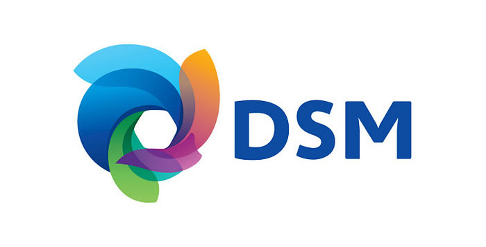 DSM logo 060515