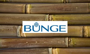 bunge cana