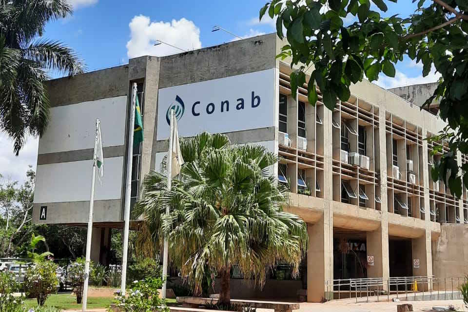 Produtores podem enviar documentos para solicitação do auxílio da cana-de-açúcar