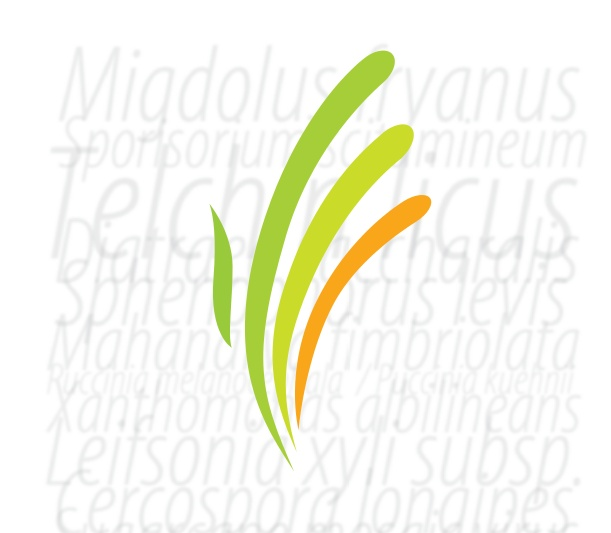 ctc logo